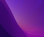 Test Sale